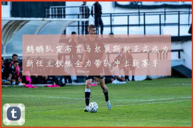 鹈鹕队宣布贾马尔莫斯利正式成为新任主教练全力带队冲击新赛季