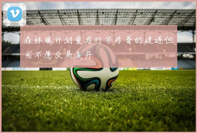 森林狼计划重启对字母哥的追逐但或不愿交易麦丹